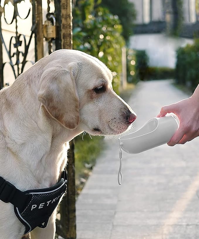 Botella portatil para perros