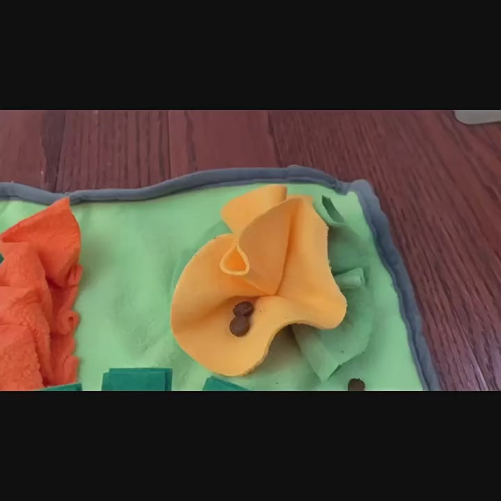 Manta interactiva para perros